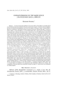 Animadversions on the Moss Genus Cratoneuron (Sull.) Spruce
