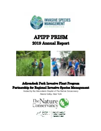 APIPP PRISM 2019 Annual Report