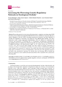 Assessing the Flowering Genetic Regulatory Network in Neotropical Orchids †