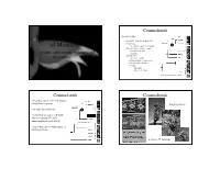 Diversity and Evolution of Monocots
