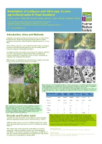 Nodulation of Lathyrus and Vicia Spp. in Non- Agricultural Soils in East Scotland Euan K