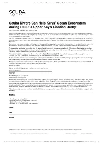 Scuba Divers Can Help Keys' Ocean Ecosystem During REEF's Upper