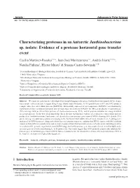 Characterizing Proteases in an Antarctic Janthinobacterium Sp