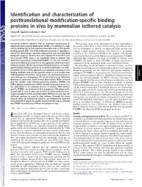 Identification and Characterization of Posttranslational Modification-Specific Binding Proteins in Vivo by Mammalian Tethered Catalysis