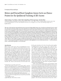 Motor and Dorsal Root Ganglion Axons Serve As Choice Points for the Ipsilateral Turning of Di3 Axons