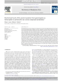 Biochemical Fossils of the Ancient Transition from Geoenergetics to Bioenergetics in Prokaryotic One Carbon Compound Metabolism☆