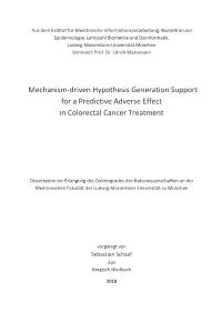 Mechanism-Driven Hypothesis Generation Support for a Predictive Adverse Effect in Colorectal Cancer Treatment