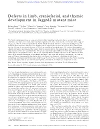 Defects in Limb, Craniofacial, and Thymic Development in Jagged2 Mutant Mice