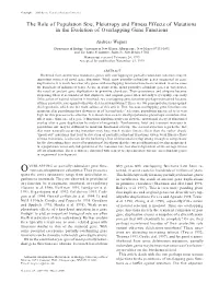 The Role of Population Size, Pleiotropy and Fitness Effects of Mutations in the Evolution of Overlapping Gene Functions