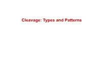 Cleavage: Types and Patterns Fertilization …………..Cleavage