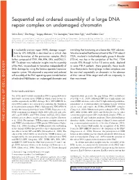 Sequential and Ordered Assembly of a Large DNA Repair Complex on Undamaged Chromatin