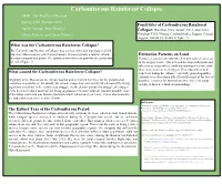 Carboniferous Rainforest Collapse