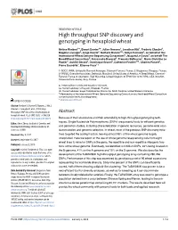 High Throughput SNP Discovery and Genotyping in Hexaploid Wheat