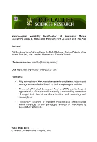 Morphological Variability Identification of Harumanis Mango (Mangifera Indica L.) Harvested from Different Location and Tree Age