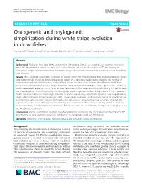 Ontogenetic and Phylogenetic Simplification During