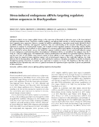 Stress-Induced Endogenous Sirnas Targeting Regulatory Intron Sequences in Brachypodium