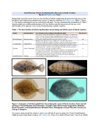 Sand Flounder (Family Paralichthyidae) Diversity in North Carolina by the Ncfishes.Com Team