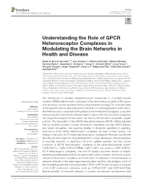 Understanding the Role of GPCR Heteroreceptor Complexes in Modulating the Brain Networks in Health and Disease