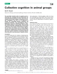 Collective Cognition in Animal Groups