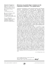 Patterns of Cranial Shape Variation in the Papionini (Primates