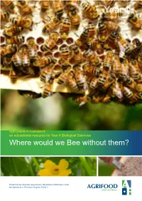 Where Would We Bee Without Them?