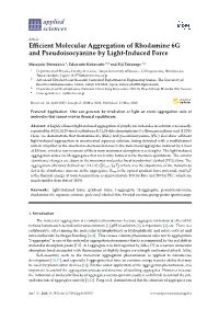 Efficient Molecular Aggregation of Rhodamine 6G And
