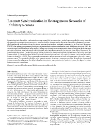 Resonant Synchronization in Heterogeneous Networks of Inhibitory Neurons