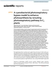 A Cyanobacterial Photorespiratory Bypass Model to Enhance