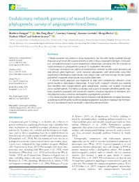 Evolutionary Network Genomics of Wood Formation in a Phylogenetic Survey of Angiosperm Forest Trees