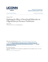Exploring the Effect of Novel Small Molecules on Oligodendrocyte Precursor Proliferation Sagune Sakya University of Connecticut - Storrs, S.Sakya22@Yahoo.Com