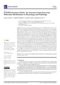 NOX): an Overview from Discovery, Molecular Mechanisms to Physiology and Pathology
