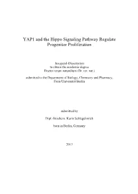 YAP1 and the Hippo Signaling Pathway Regulate Progenitor Proliferation