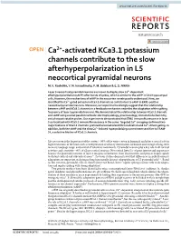 Ca2+-Activated Kca3.1 Potassium Channels Contribute to the Slow