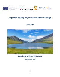 Lagodekhi Local Development Strategy
