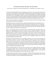 LEM-Factsheet.Pdf