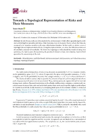 Towards a Topological Representation of Risks and Their Measures