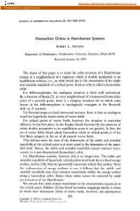 Homoclinic Orbits in Hamiltonian Systems