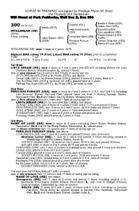 M. Botti) the Property of a Gentleman Will Stand at Park Paddocks, Wall Box Z, Box 554