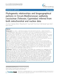 Phylogenetic Relationships and Biogeographical Patterns in Circum