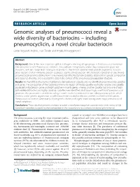 Genomic Analyses of Pneumococci Reveal a Wide Diversity of Bacteriocins