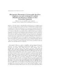 And Actiniopteris Radiata (Pteridaceae) Based on Analysis of Rbcl Nucleotide Sequences