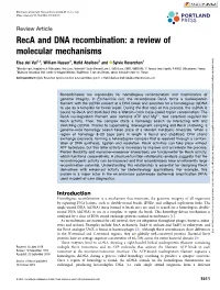 Reca and DNA Recombination: a Review of Molecular Mechanisms