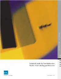 Technical Guide for Non-Radioactive Nucleic Acid Labeling and Detection