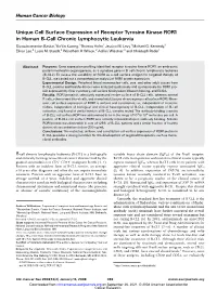 Unique Cell Surface Expression of Receptor Tyrosine Kinase ROR1 In