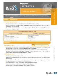 Guide Cellulite Adulte WEB EN.Pdf