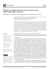 Portable DC Supply Based on Sic Power Devices for High-Voltage Marx Generator