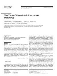 The Three-Dimensional Structure of Mimivirus