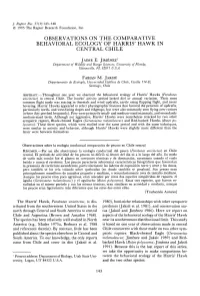 Observations on the Comparative Behavioral Ecology of Harris' Hawk in Central Chile