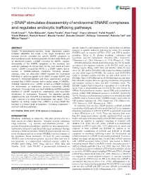 Γ-SNAP Stimulates Disassembly of Endosomal SNARE Complexes and Regulates Endocytic Trafficking Pathways