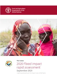 The Sudan Flood Impact Rapid Assessment
